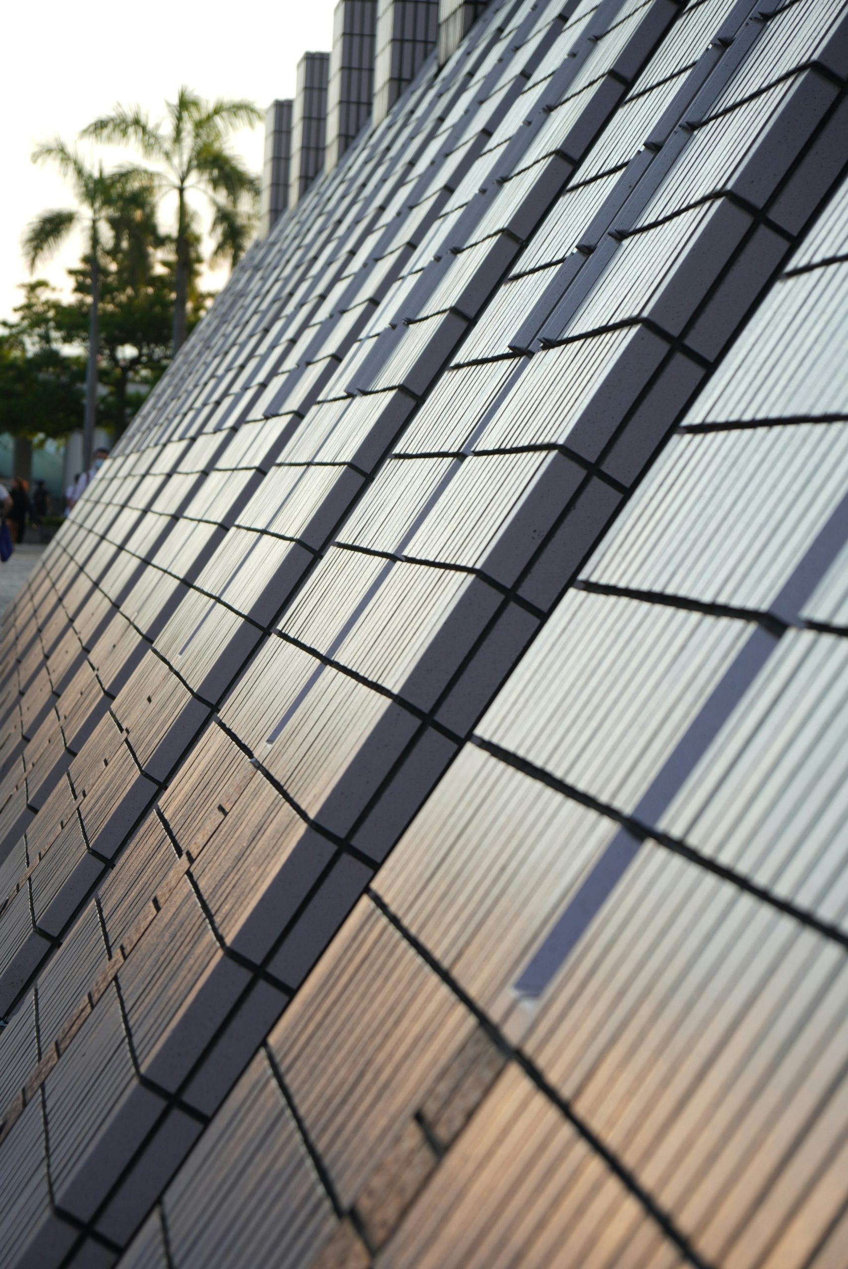 Longest Lasting Solar Panels: Most Efficient Options 2025