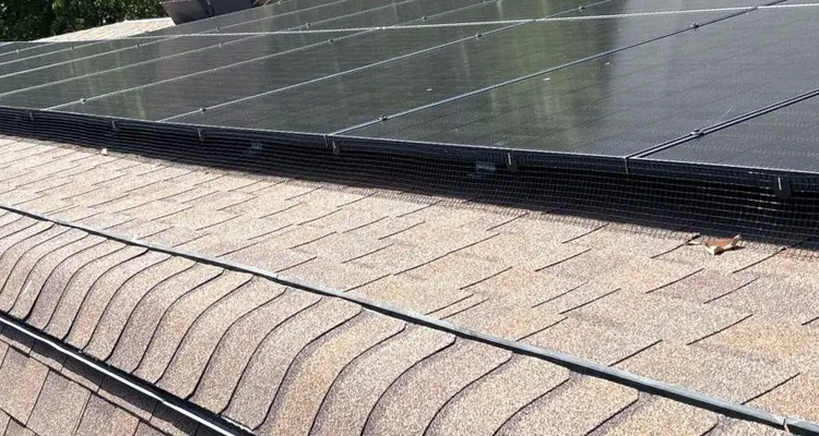 Solar Installation Spotsylvania County